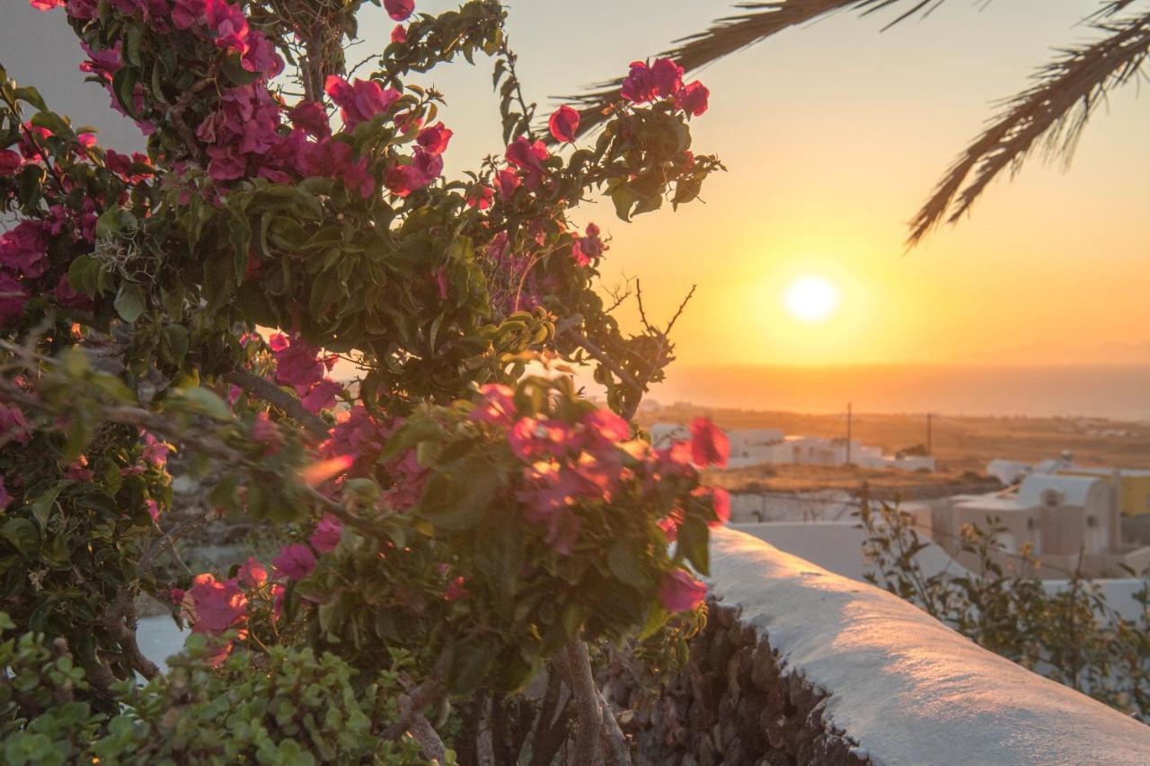 Aqua Serenity Luxury Suites Santorini Foinikia  Экстерьер фото